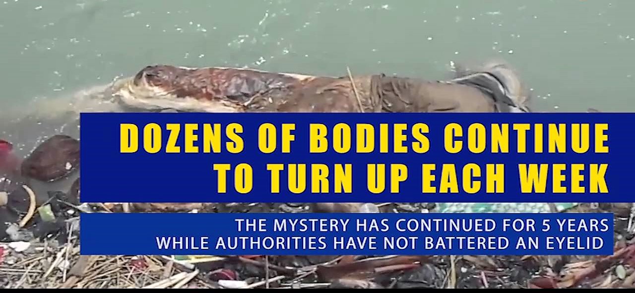Unidentified/ Murdered Dead Bodies Continue to Surface in Bhakra Canal – High Court Issues Notice...